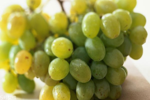 葡萄的营养价值及功效和作用,葡萄干的营养价值及功效
