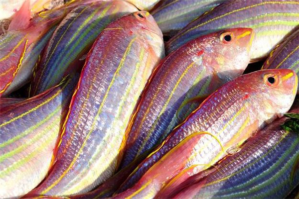 红杉鱼怎么做好吃?,红杉鱼怎么做好吃视频