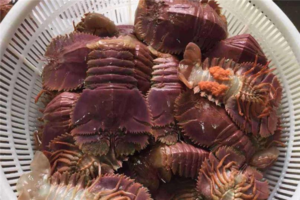 琵琶虾吃法,吃琵琶虾不能吃啥