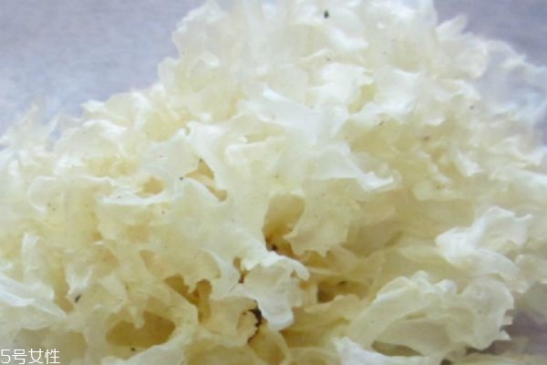 煮好的银耳汤可以放多久,怎样煮银耳汤才能又快又粘稠?