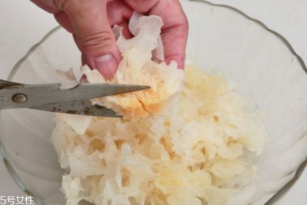 银耳的适宜人群,银耳不适宜人群