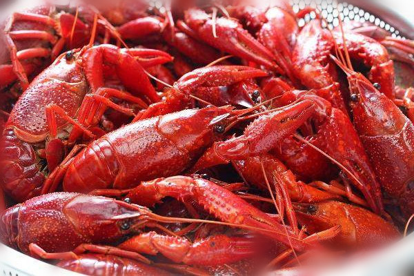 小龙虾的饲养方法,小龙虾的饲养方法和条件