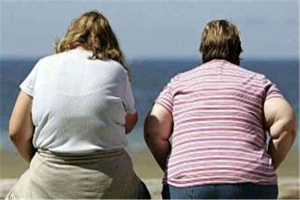 减脂刮油的秘方,减肥去脂刮油中药偏方