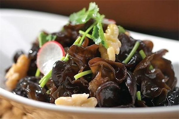 石耳是什么,石耳哪里产的最好