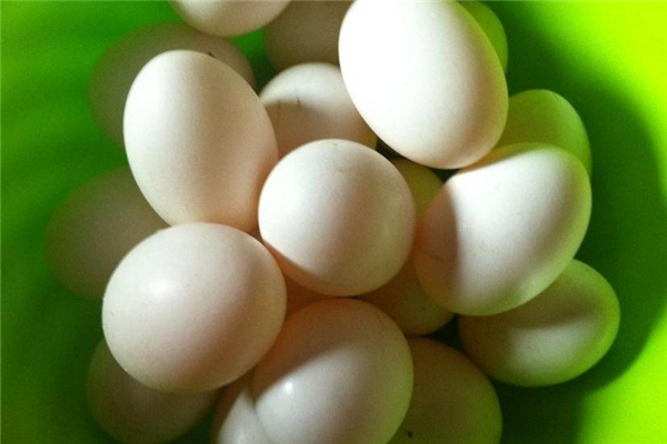 鸽子蛋的作用,鸽子蛋有什么营养和功效