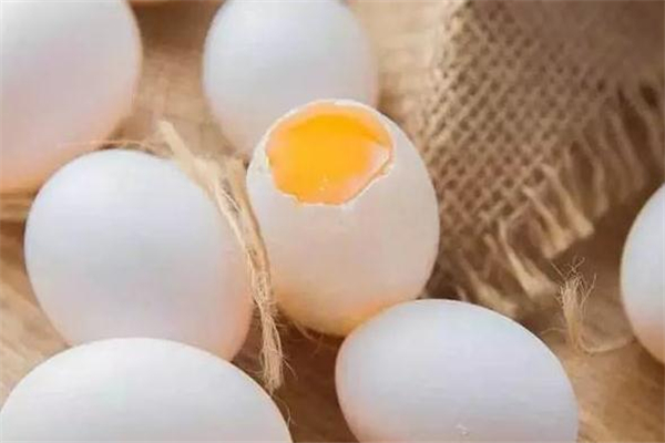 鸽子蛋什么时候吃最好?,鸽子蛋什么时间吃最好