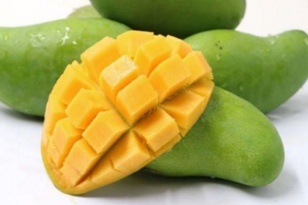 青芒如何保存放的久,青芒果如何保存 青芒如何保存放的久,青芒果如何保存