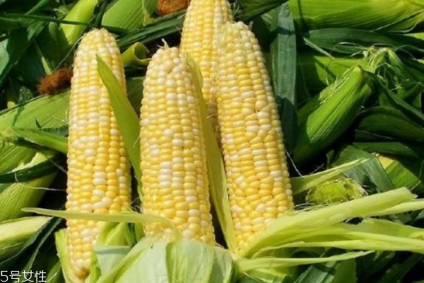 玉米须有什么功效和作用,玉米须有什么功效?