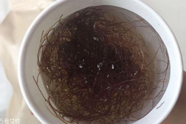 玉米须是溶血还是凝血