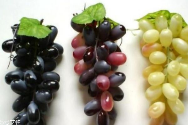 葡萄和提子的区别营养,葡萄和提子的区别在哪里