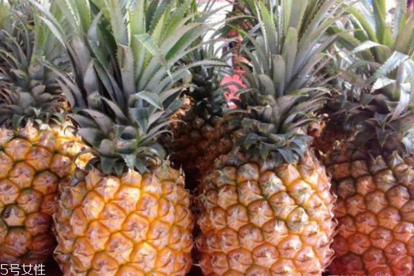 菠萝的挑选方法,怎样挑菠萝窍门