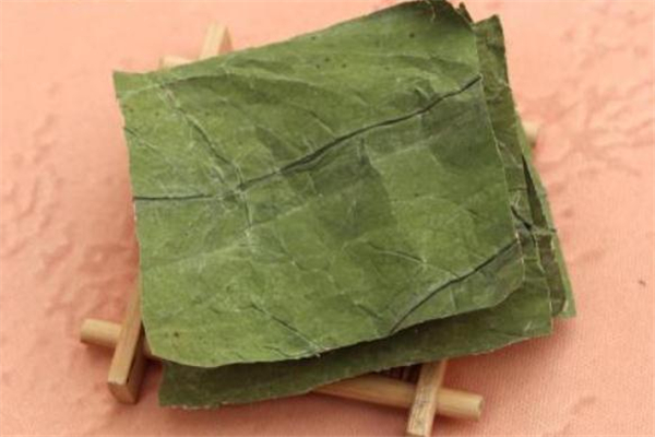 荷叶茶适合人群,荷叶茶适合什么样人群