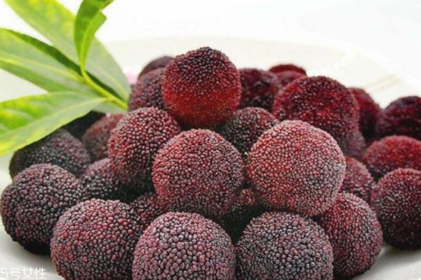 杨梅有虫还能吃吗,杨梅虫子吃了会怎样