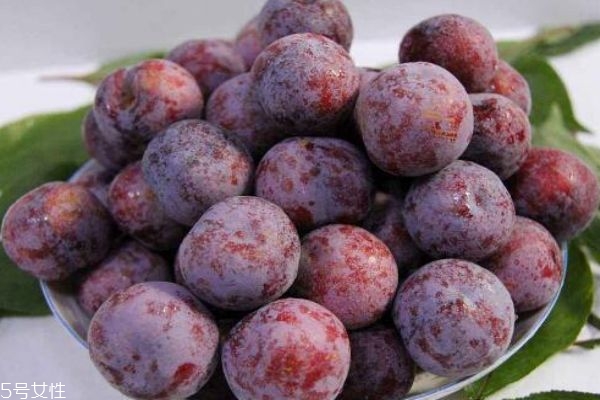 不适合健身的人群有哪些,什么人适合健身