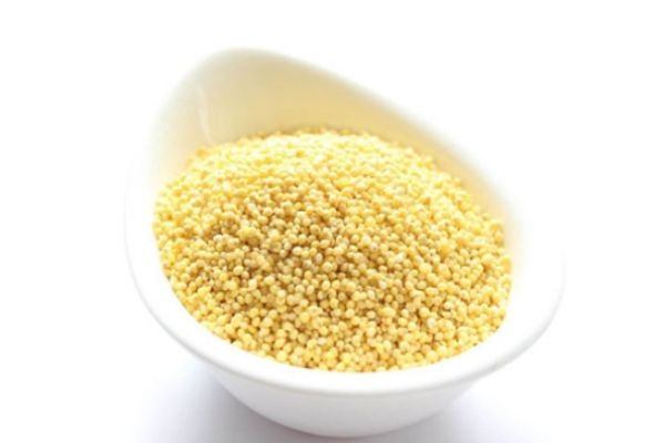 包粽子选择什么米,包粽子什么样的米最好