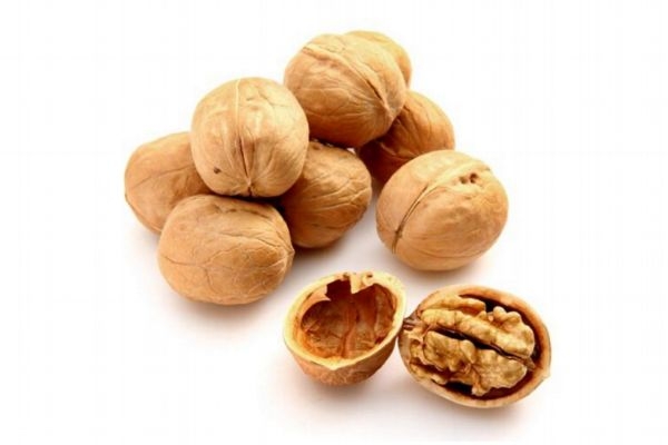 国内最好的核桃品种,中国核桃四种最好品种 国内最好的核桃品种,中国核桃四种最好品种