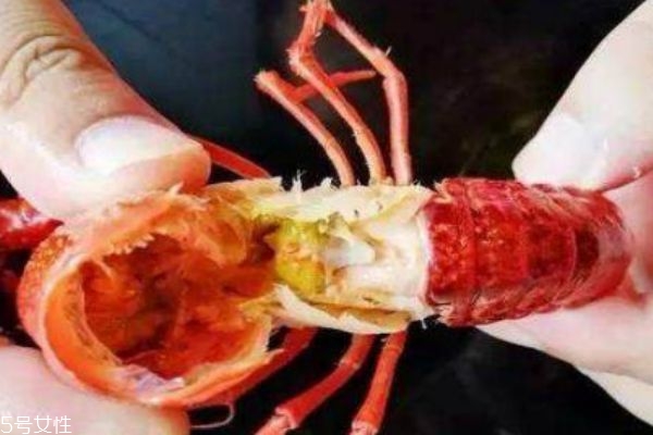 活虾冰冻和死虾的辨认,虾死亡的原因是什么