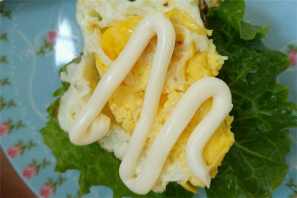 沙拉酱的做法和材料,沙拉酱什么牌子的最好吃? 沙拉酱的做法和材料,沙拉酱什么牌子的最好吃?