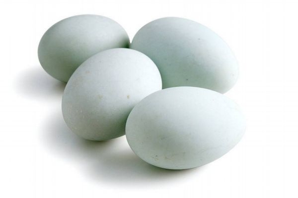 乌鸡蛋不适合什么人吃怎样吃,乌鸡蛋不适合什么人吃产妇能吃乌鸡蛋吗 乌鸡蛋不适合什么人吃怎样吃,乌鸡蛋不适合什么人吃产妇能吃乌鸡蛋吗