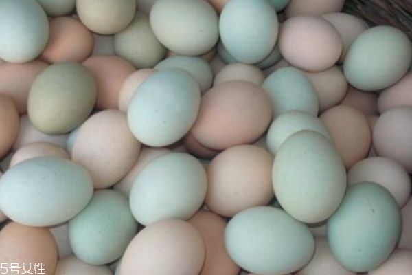 乌鸡蛋和普通鸡蛋的区别,乌鸡蛋和普通鸡蛋有啥区别 乌鸡蛋和普通鸡蛋的区别,乌鸡蛋和普通鸡蛋有啥区别