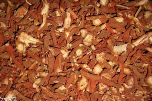 丹参适合哪些人服用,丹参哪些人不适合服用