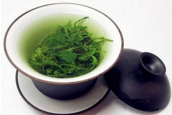 绞股蓝泡水的副作用,绞股蓝泡水喝的副作用