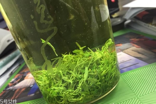 绞股蓝茶怎么喝,喝绞股蓝茶叶的作用