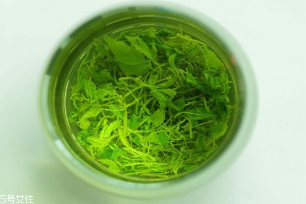 如何挑选绞股蓝茶,什么样的绞股蓝茶最好