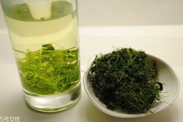 什么人不宜喝绞股蓝茶,绞股蓝茶怎么喝