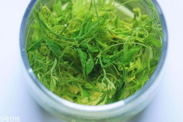 喝绞股蓝茶会引起失眠吗,绞股蓝能治失眠吗