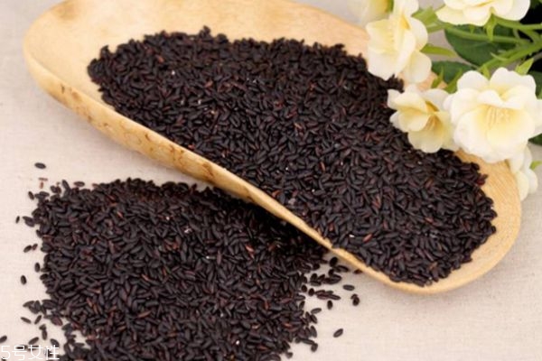 黑米的功效和作用禁忌,黑米的功效和作用及营养价值 黑米的功效和作用禁忌,黑米的功效和作用及营养价值