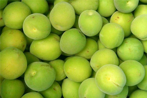 青梅什么时候吃最好,青梅什么时候吃效果好 青梅什么时候吃最好,青梅什么时候吃效果好