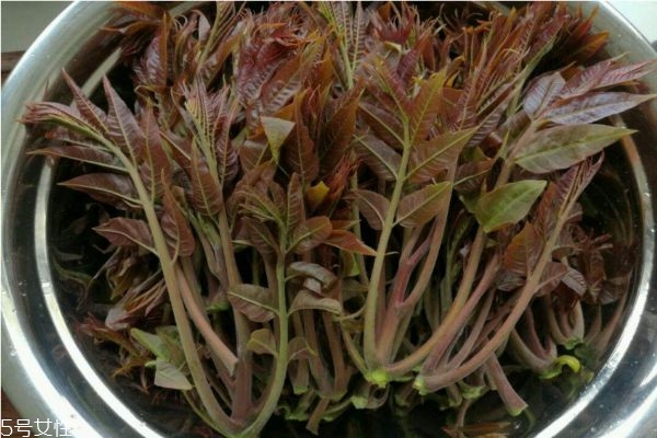 吃香椿过敏的症状,吃香椿过敏是哪些症状