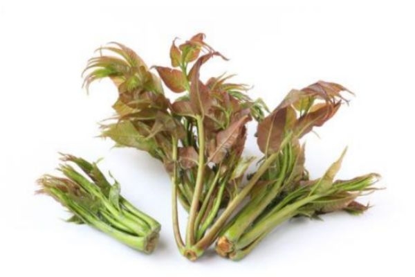 吃香椿有什么好处,吃香椿的好处和坏处