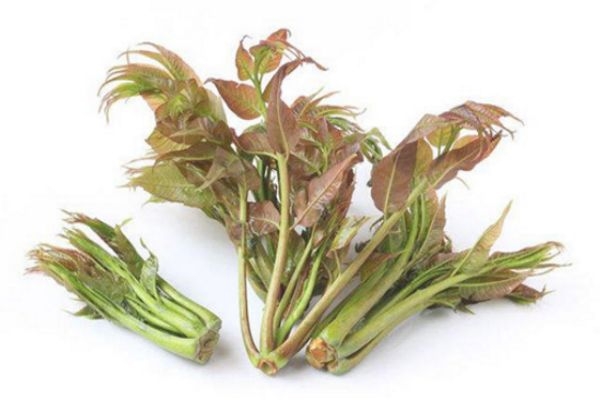 香椿的禁忌人群,吃香椿的禁忌