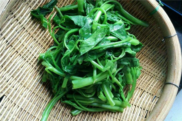 圆白菜和海带能一起吃吗,海带能和白菜一起吃吗