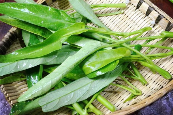 空心菜冻了还能吃吗,冬天空心菜会冻死吗