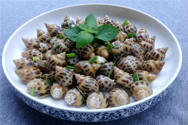 冰镇花螺的做法,冰镇花螺的做法窍门
