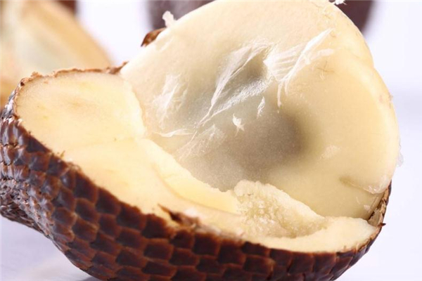 蛇皮果季节是什么时候,蛇皮果什么季节成熟