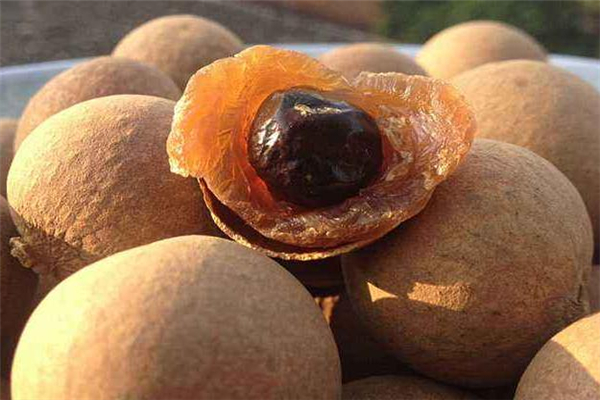 流产吃桂圆好吗,人流后为什么不能吃桂圆