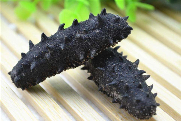 菠萝和海参能一起吃吗,海参跟菠菜能一起吃吗