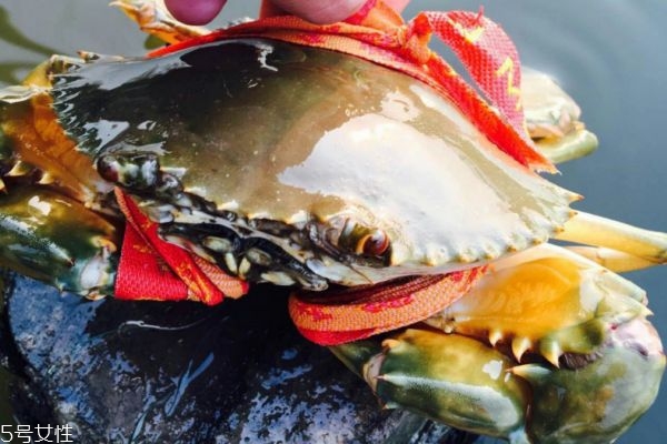 吃螃蟹的禁忌什么食物,吃螃蟹的禁忌什么药