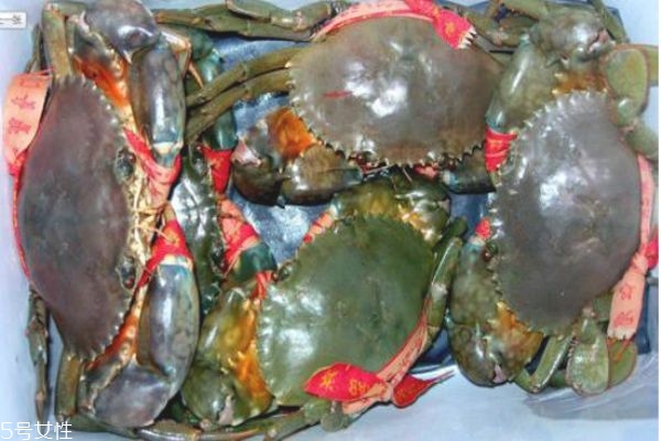 三门青蟹的保存方法,三门青蟹怎么保存