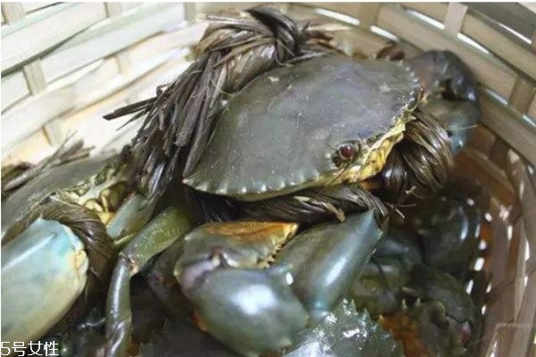 鲜活青蟹的保存方法,如何判断螃蟹新鲜 鲜活青蟹的保存方法,如何判断螃蟹新鲜