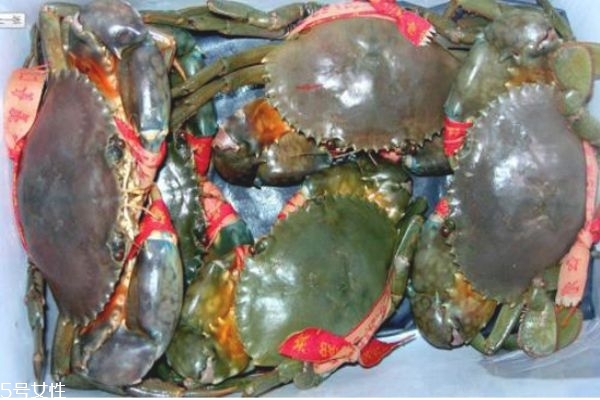 三门青蟹死了能不能吃了,三门青蟹死了多久不能吃了