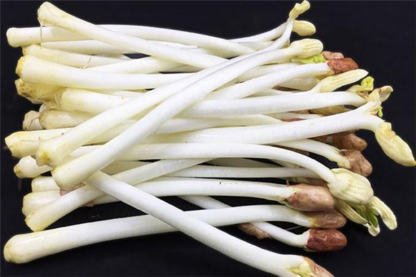 花生芽会有毒吗,花生芽有毒么