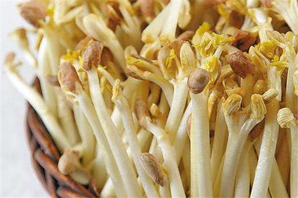 花生芽涮火锅好吃吗,花生芽能涮火锅吗