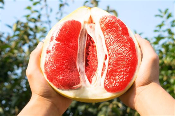 宝宝吃葡萄柚的好处,宝宝吃葡萄柚的功效和作用 宝宝吃葡萄柚的好处,宝宝吃葡萄柚的功效和作用