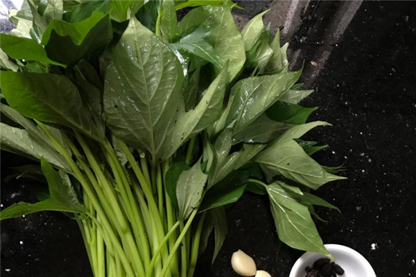 红薯叶哪些人不能吃,什么人不能吃红薯叶