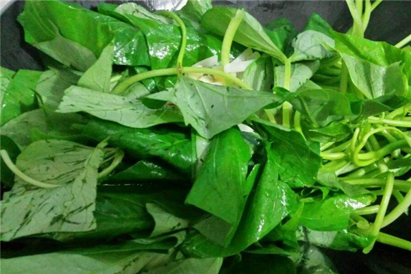 红薯叶是寒性食物吗,红薯叶性寒还是热性 红薯叶是寒性食物吗,红薯叶性寒还是热性